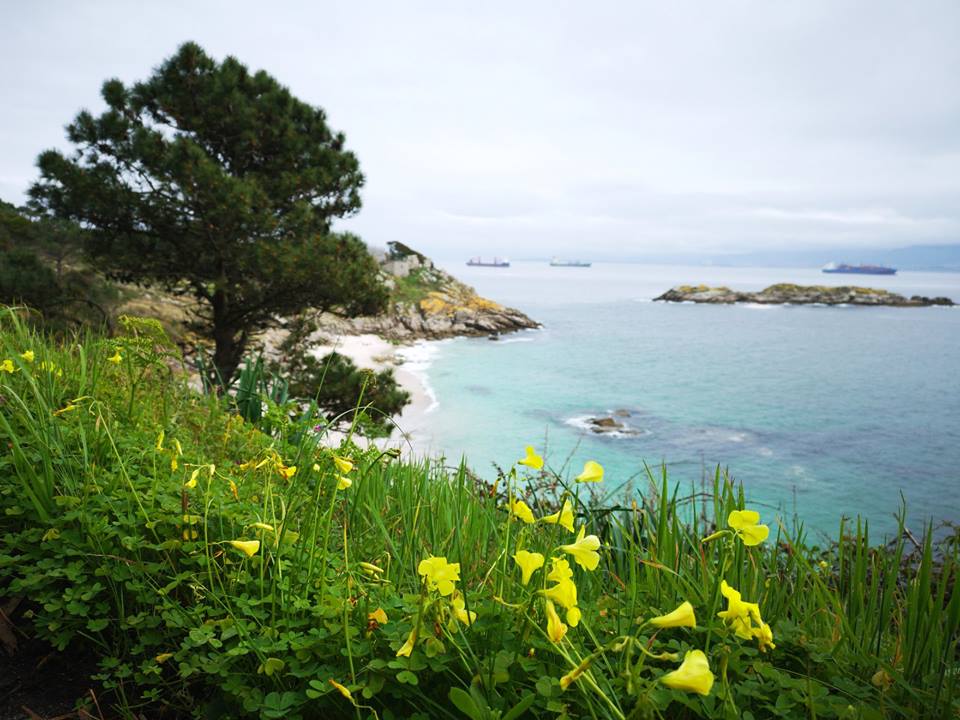 Visita-las-Islas-Cíes-de-Galicia