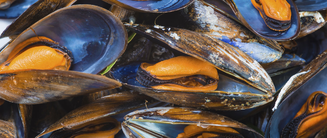 Gira por la ría de Vigo con degustación de mejillones