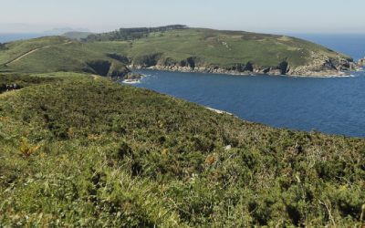 Planes que hacer en las Rías Baixas con Mar de Ons